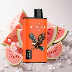 Arbuusi-Jää JNR EAGLE Smart 23000 Puffs Ühekordne Vape 25ml Mahutavusega