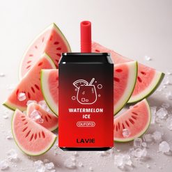 Arbuusi-Jää Lavie Aurora 11000 Puffs 22ML Tüüp-C Laetav