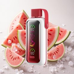 Arbuusi-Jää VOZOL Star 20000 Puffs Kahekordse võrguga