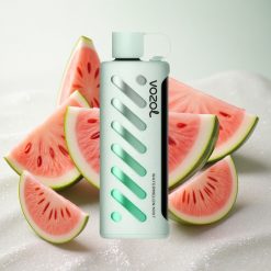 Arbuusi-Münt VOZOL Gear Shisha 25000 Puffs Ühekordne Vape 1000mAh aku