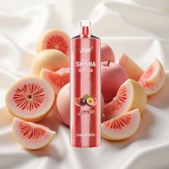 Armastuse 66 JNR Shisha Hookah 12000 Puffs 24ml