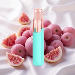 Hapu Viinamari Snowplus Dash 4000 Puffs 530 mAh Seade