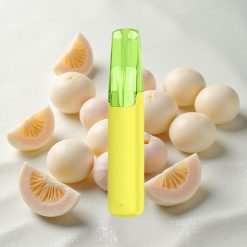 Jasmiin LongJing Tee Snowplus Dash 4000 Puffs 7,5 ml