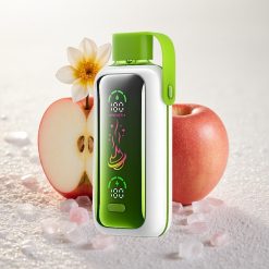 Kaks õuna jää VOZOL Star 20000 Puffs Topeltvõrk 650mAh