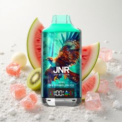 Kiivi-Arbuusi Jää JNR Falcon X 18000 Puffs Digitaalne Ekraan Tüüp-C Kiirlaadimine