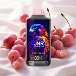 Kirs-Marja JNR Falcon X 18000 Puffs 24ml Digitaalne Ekraan