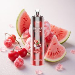 Kirsi-Arbuusi Jäätis JNR Shisha Hookah 12000 Puffs 24ml 0.6 Ohm Mesh Coil