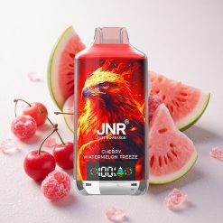 Kirsivee-Arbuusi Jäätis JNR Falcon X 18000 Põhku Dual Mesh & Dual Core Digitaal Ekraan Type-C Kiirlaadimine