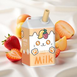 Maasika-Mango Lavie Milk 7000 Puffs Ühekordne Vape 16ML
