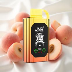 Mahlased virslid JNR Shisha Hookah Box 20500 Puffs Ühekordne Vape 25ml Dual Mesh Coil