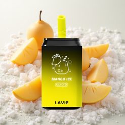 Mango-Jää Lavie Aurora 11000 Puffs 22ML Tüüp-C Laetav