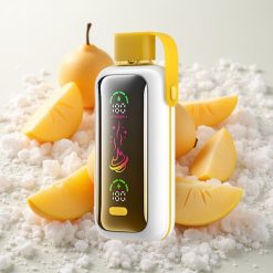 Mango-Jää VOZOL Star 20000 Puffs Kahekordse Võrgustikuga Ekraaniga