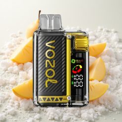 Mango-Jää VOZOL Vista 20000 Puffs Taaskasutatav Akuga (650mAh)