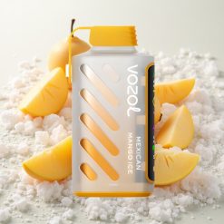 Mehhiko Mango Jää VOZOL Gear Power 20000 Pruukide ECO Režiimiga