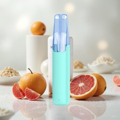 Mentooliga Snowplus Dash 4000 Puffs Keraamilise Atomisaatoriga Seade