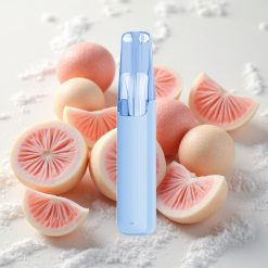 Mineraalvee Snowplus Dash 4000 Puffs Seade 7,5 ml