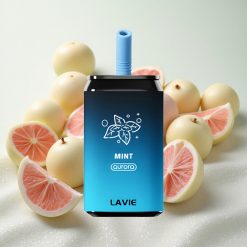 Mint (Münt) LAVIE Aurora 11000 Puffs 22ML
