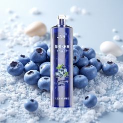 Mustika-Jäätise JNR Shisha Hookah 12000 Puffs 24ml 0%, 2% Nikotiini Type-C