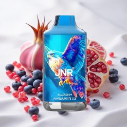 Mustika-Mustikas Jäätis JNR Falcon 16000 Puffs 850 mAh Tüüp C Laadimine