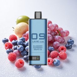 Mustika Vaarik Jää Lavie Cube 20000 Puffs Laadimistüüp C