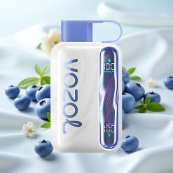 Mustikas-mündi VOZOL STAR 40000 Puffs Ühekordne Vape 1000mAh