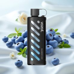 Mustikas-Münt VOZOL Gear Shisha 25000 Puffs Kahekordse Võrguga Režiimid