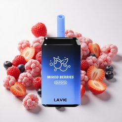 Segamari LAVIE Aurora 11000 Puffs 22ML Tüüp-C
