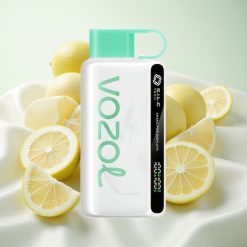 sidrunimünt VOZOL STAR 9000/12000 ühekordne vape 650mAh aku