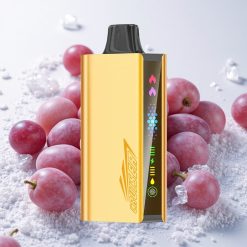 Viinamarja-Jää JNR Cruiser 12000 Puffs Laadimiseta Ühekordne Vape