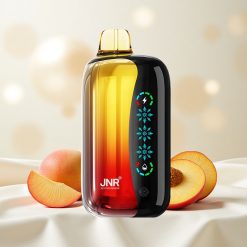 Virsi-Mango-Ananass JNR Flex Ice 21000 Puffs Ühekordne Vape kohandatav õhuvool 1.2 Ohm Dual Mesh