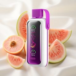 Virsik-Mango-Arbuus VOZOL Star 20000 Puffs Topeltvõrk-ekraaniga