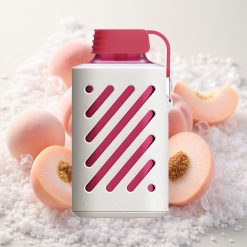 Virsikujää VOZOL GEAR 10000 10000 Puffi 20ml Vedelik